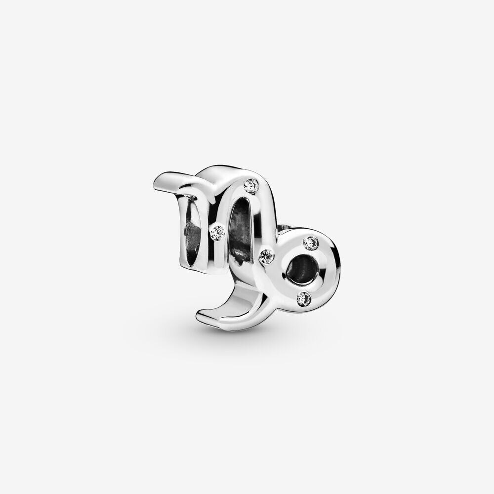 Capricorn / Zodiac - Charm