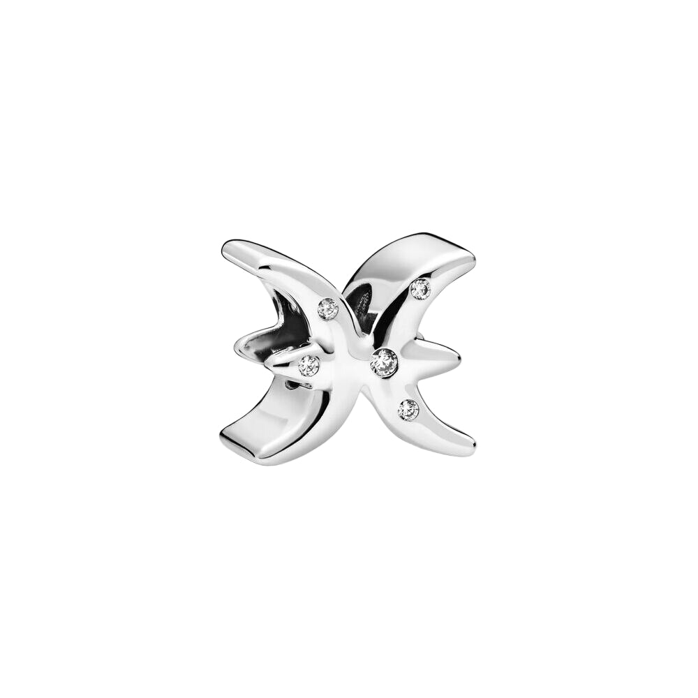 Fische / Sternzeichen - Charm