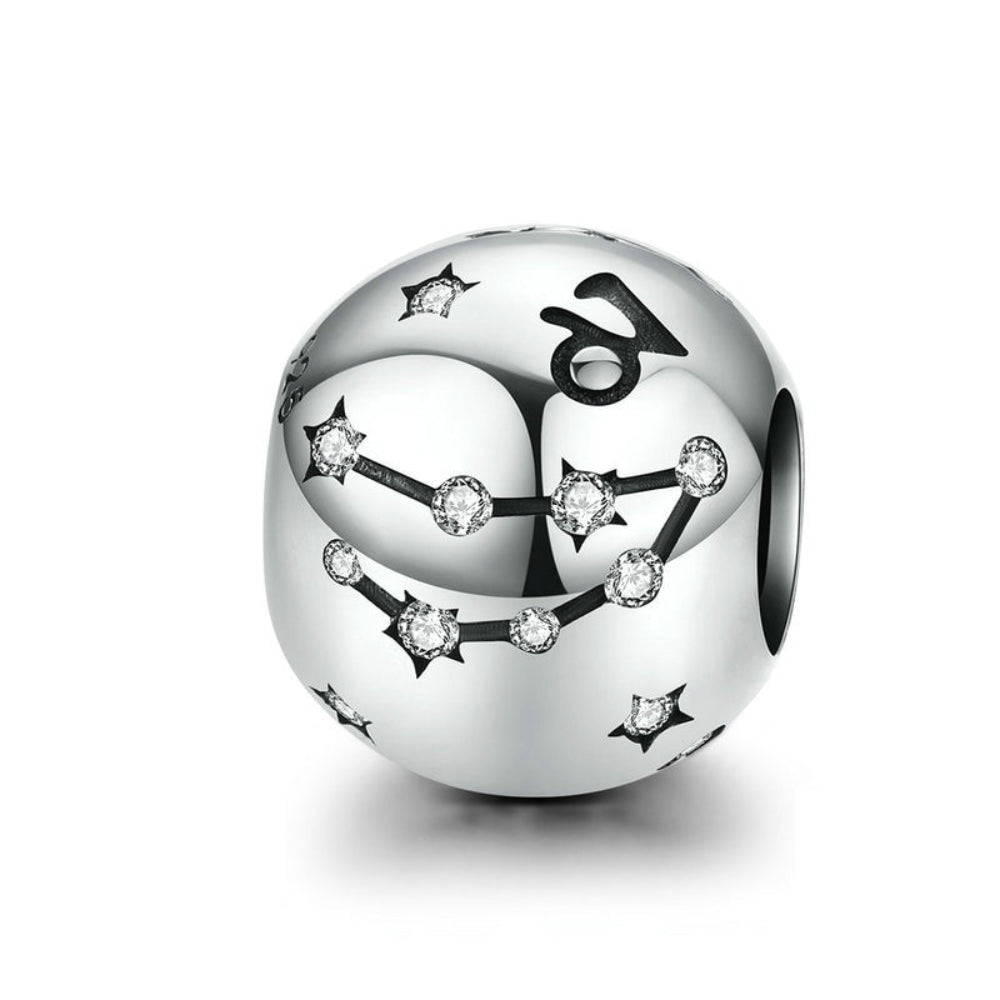 Capricorn / Zodiac - Charm