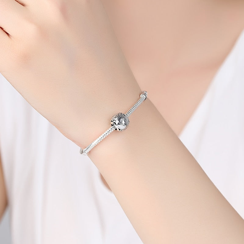 Leo / Zodiac - Charm