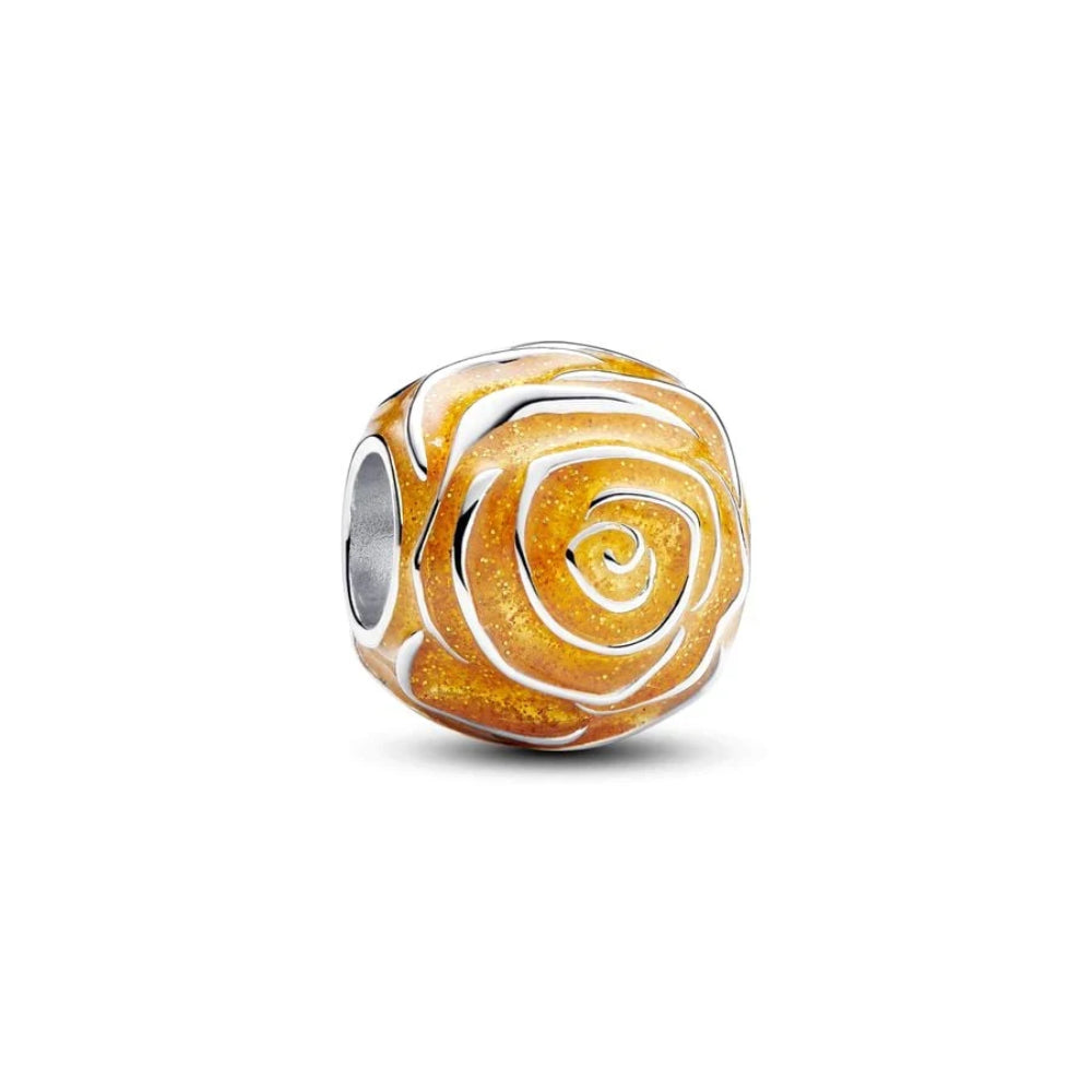Orange blühende Rose - Charm
