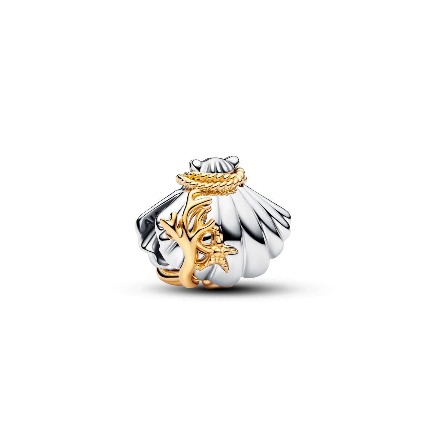 Meeresfund – Muschel Charm