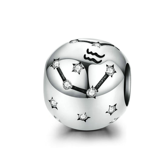 Aquarius / Zodiac - Charm