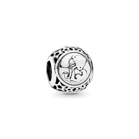 Aquarius / Zodiac - Charm