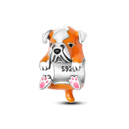Hund - Charm